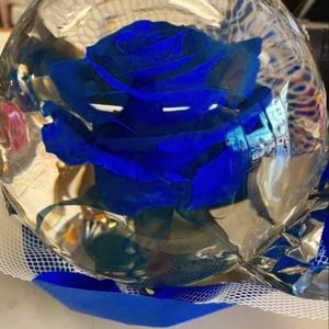 Meet your Posher, Cassandra